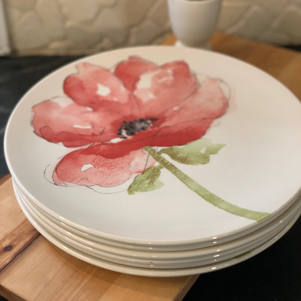 ROYAL STAFFORD |  Set of 6 | Poppy Dinner Plates.